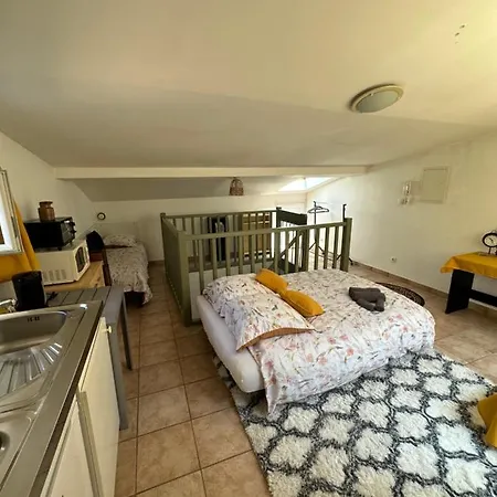 Apartamento Face Au Canal Du Midi Carcasona